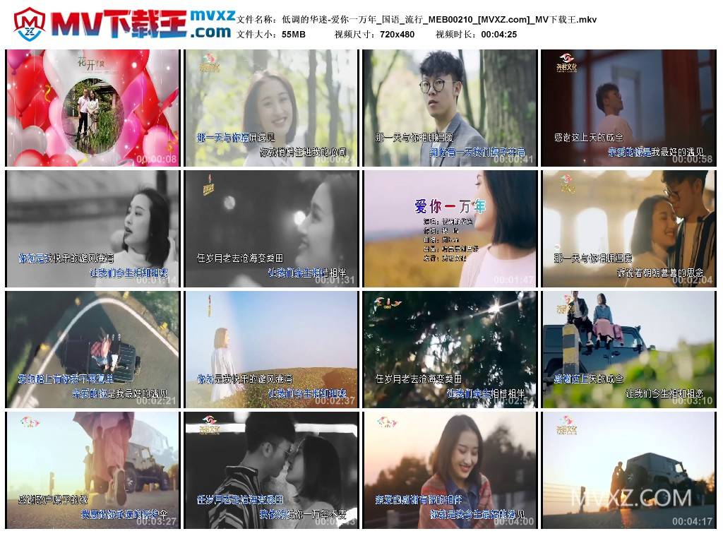 低调的华迷-爱你一万年_国语_流行_MEB00210